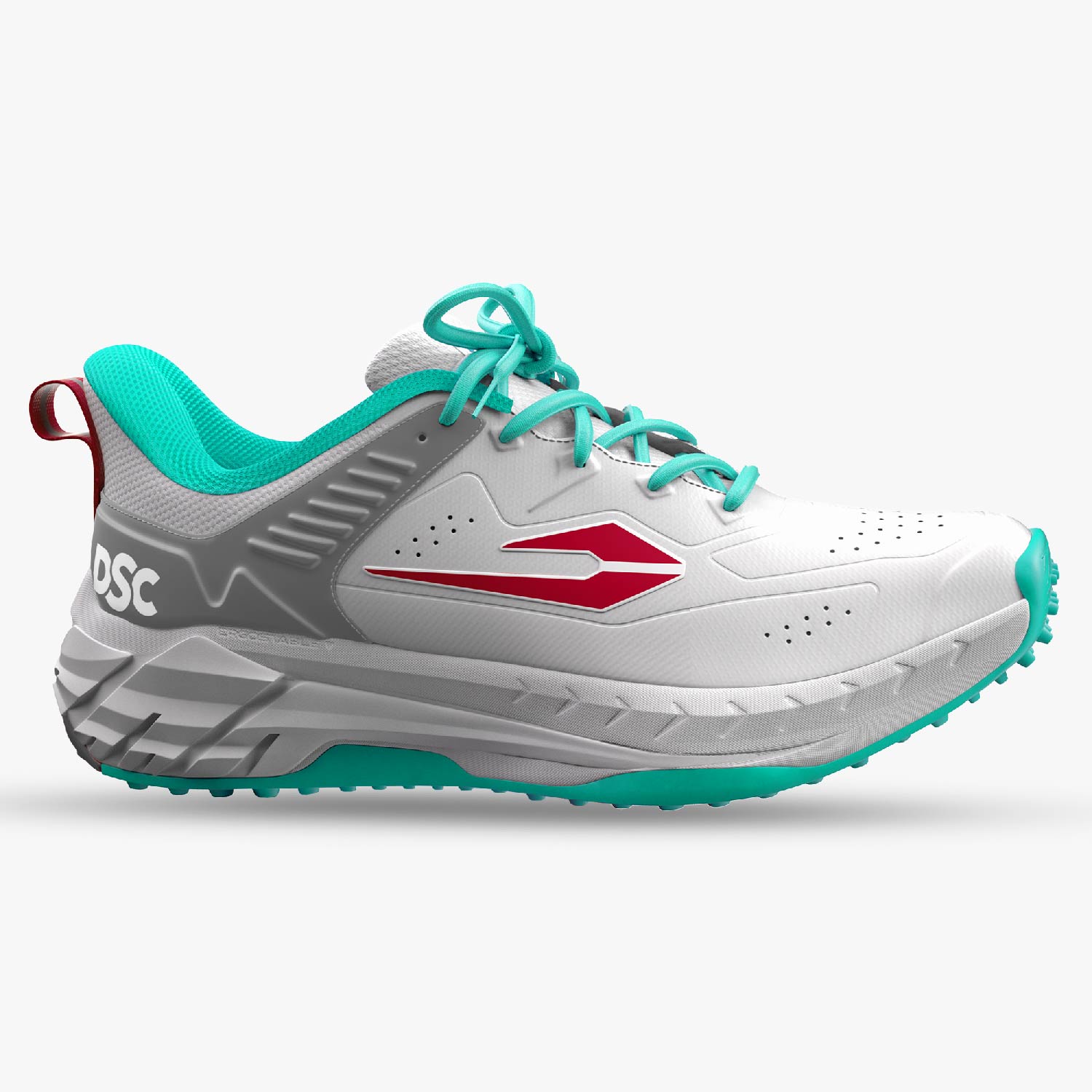DSC Cricket Shoes Endgame